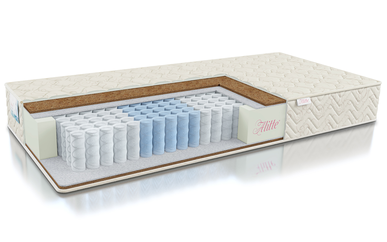 Alitte Jeune de Sport TFK H-16-N