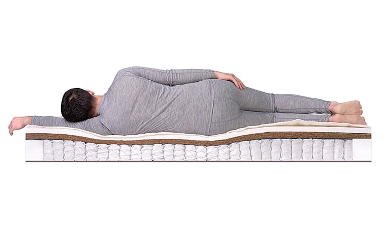 DreamLine Prime MEDIUM TFK фото 3